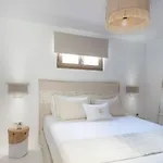 Executive Paros Avra 3 Bedrooms Sea View & Outdoor Jacuzzi Vila