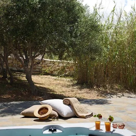 Villa Executive Avra 3 Bedrooms Sea View Outdoor Jacuzzi Kostos Damouli